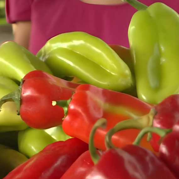 Bili smo na Kaleniću i saznali CENE PAPRIKA! Pošto su ove godine SAZRELE RANIJE, kada onda da pravimo ZIMNICU? Kako da prepoznamo da je paprika DOMAĆA?